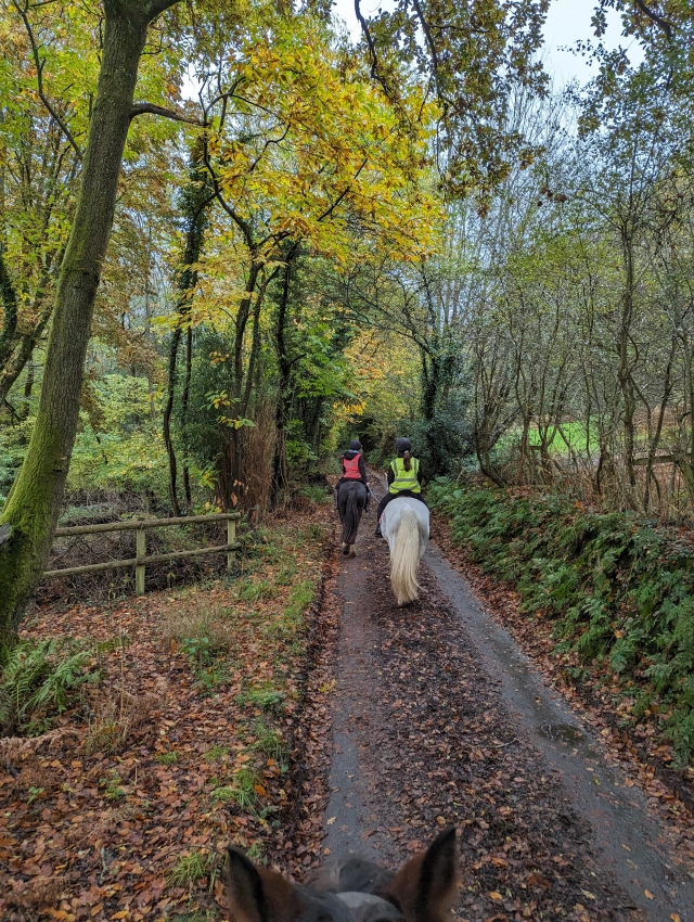 Opinione di Niall su Portland e passeggiate a cavallo in fattoria per principianti 1,5 ore
