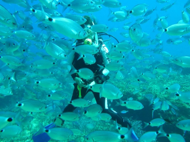 Diving Gran Bretagna