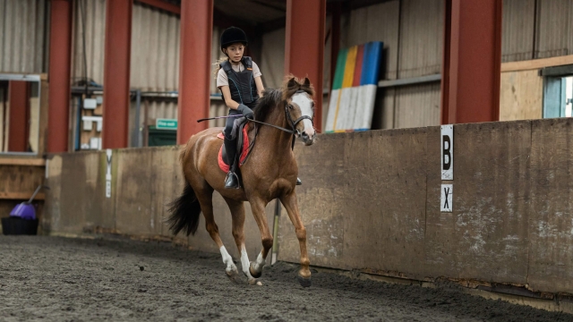 Attività per scuole Gran Bretagna