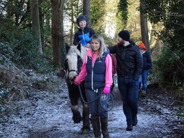 Trekking su pony per principianti nella contea di Down 1 ora
