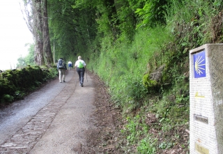 En skate électrique, la façon originale de faire le Chemin de Saint-Jacques