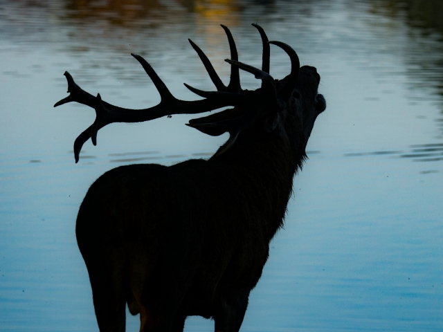 哈恩的徒步体验 