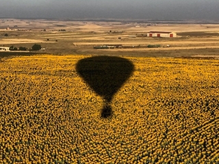 Passeggiare è riduttivo: 5 modi per godersi la primavera