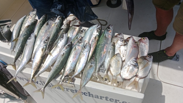 Opinione di TANIA su Pesca in barca a Cambrils per 4 ore