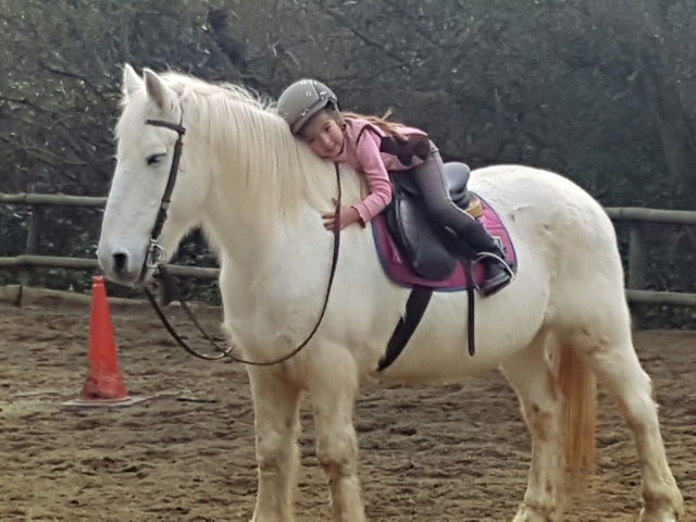 Corsi di equitazione San Feliu de Llobregat 4 ore