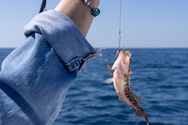  Pesca a Palamos 