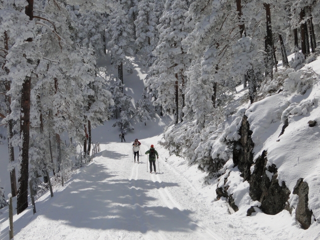 Corso di iniziazione allo sci di fondo Sierra de Madrid