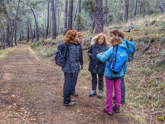 Escursione nell'Hayedo de Montejo, una giornata