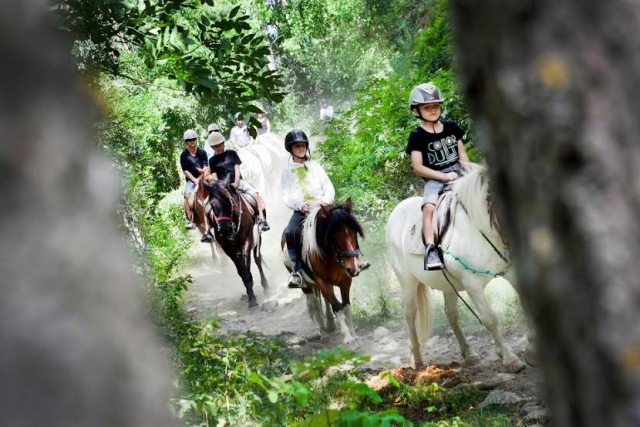 Giro in pony per bambini ad Andorra 1 ora