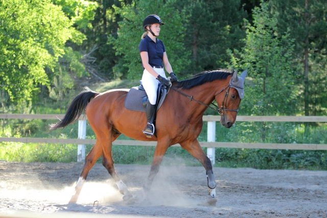 Equitazione a Madrid 