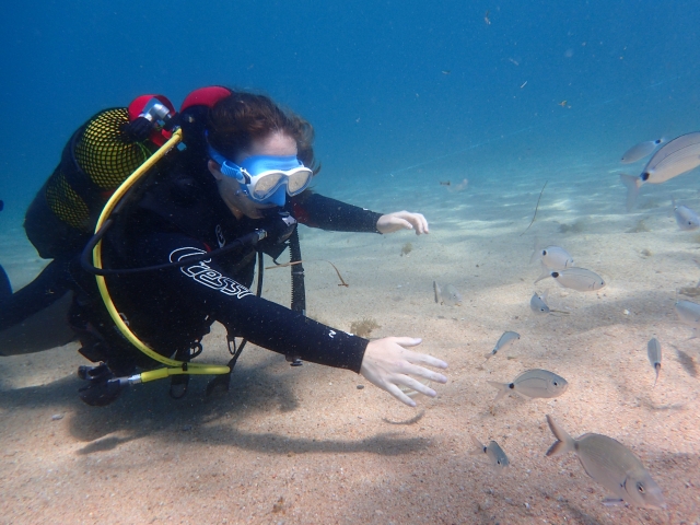 Scopri le immersioni subacquee a Tossa de Mar 3 ore
