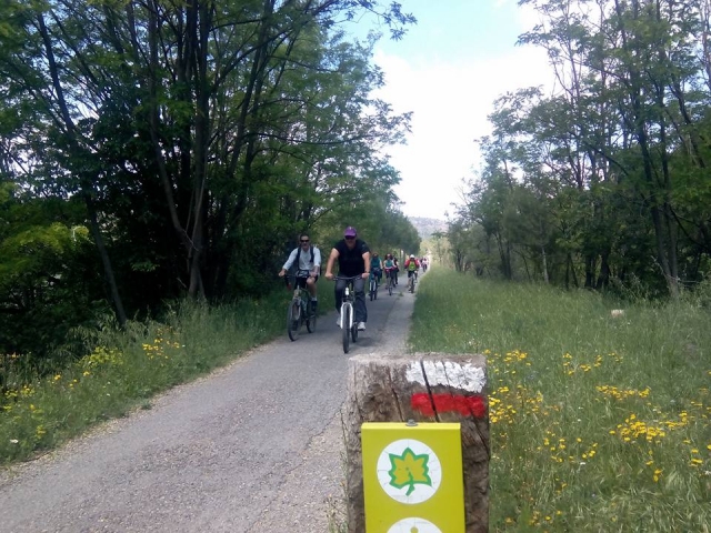 Discesa in bicicletta attraverso la Via Verde di Ojos Negros