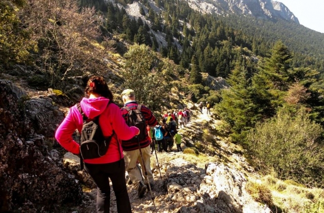 Itinerario escursionistico El Pinsapar a Grazalema livello 1