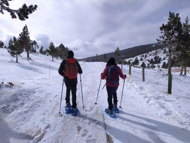 Itinerario di iniziazione alle racchette da neve Rasos Peguera 2:30h