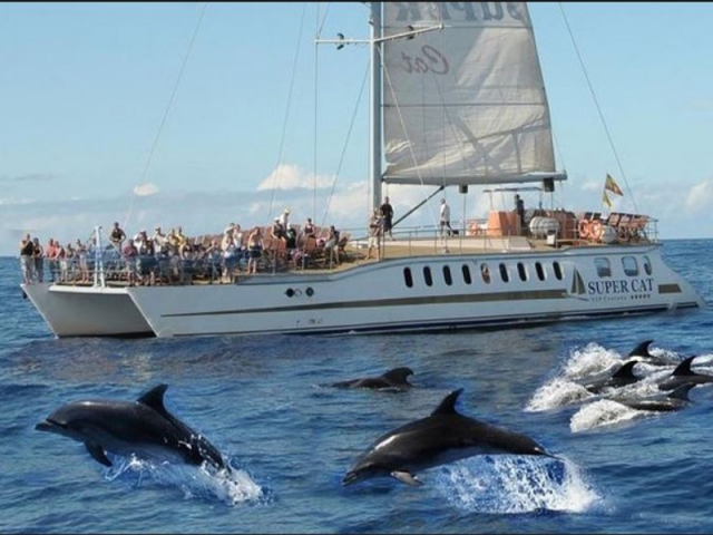 Osservazione delle balene + bambini in banana boat Mogán