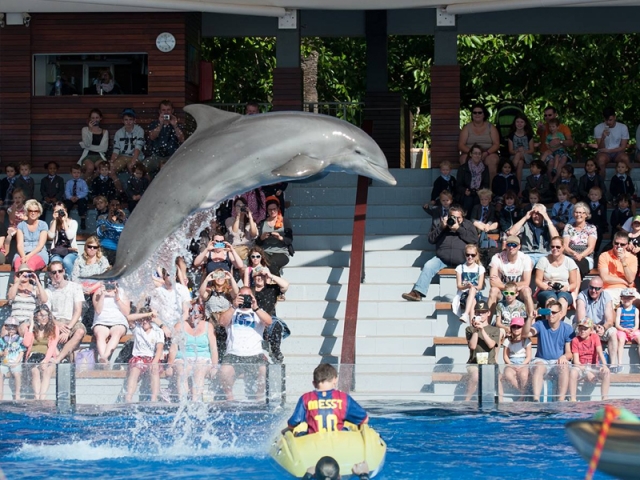 Ingresso all'acquario di Costa d'en Blanes Adulti