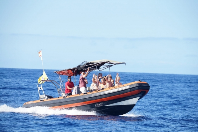 Avvistamento di Puerto Colón Cetacean, bambini 2h