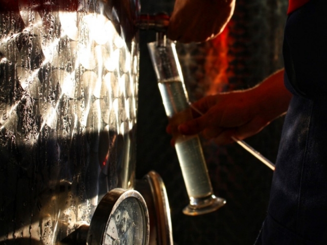 Escape room e degustazione di vini a Puigpelat 1 ora