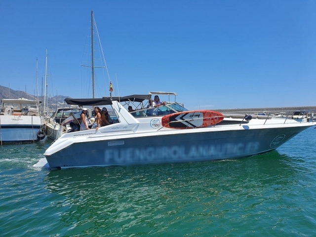 Osservazione dei delfini a Fuengirola per adulti 2 ore