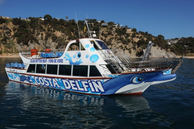 Giro in barca turistica lungo la Costa Delfín, 1 ora