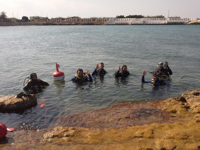  during the courses 