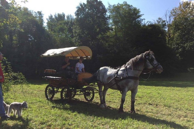 in carrozza