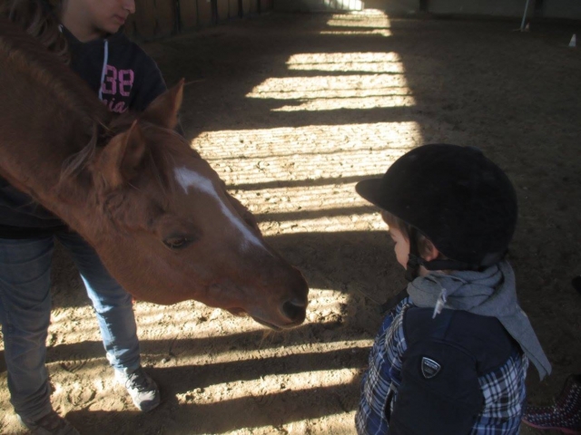 i bambini e il cavallo