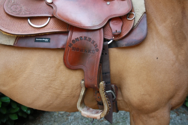 Maneggio Monsereno Horses