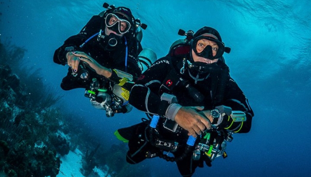  a day knowing how to dive 