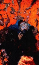  Unterwasserschönheiten 