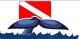 5 Terre Diving