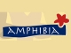 Amphibia