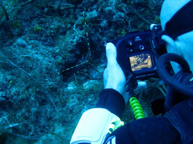 Corsi di fotografia in mare