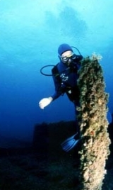  El naufragio del Chiattone 