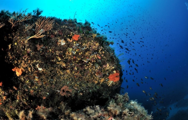 Le bellezze del nostro mare