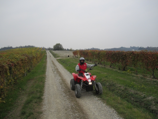  Max in Monferrato 
