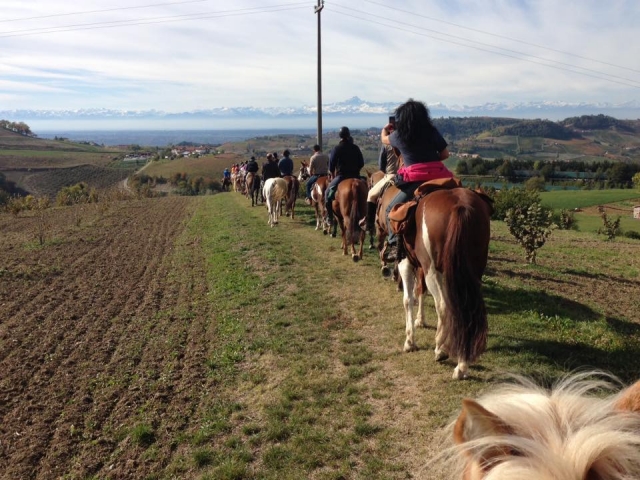 e-17436-a-passeggio-nelle-langhe14907830389306.jpg