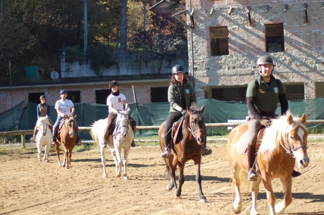 e-17436-lezioni-di-equitazione14907830361661.jpg