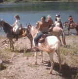  Periflo de los lagos 