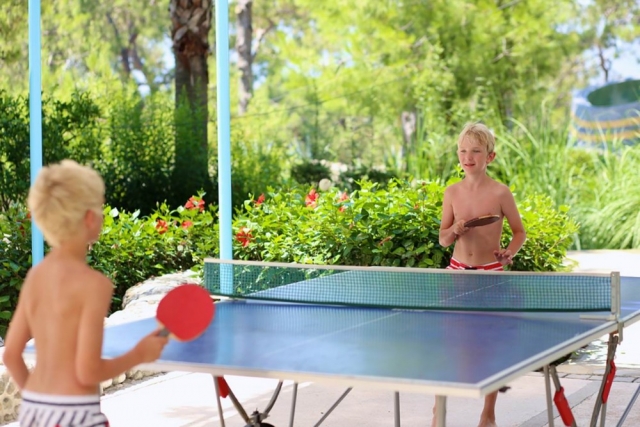 Play area 