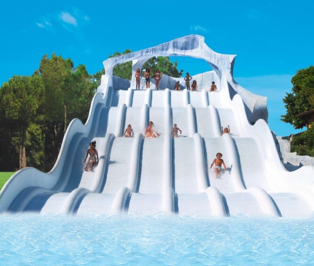  The slides 