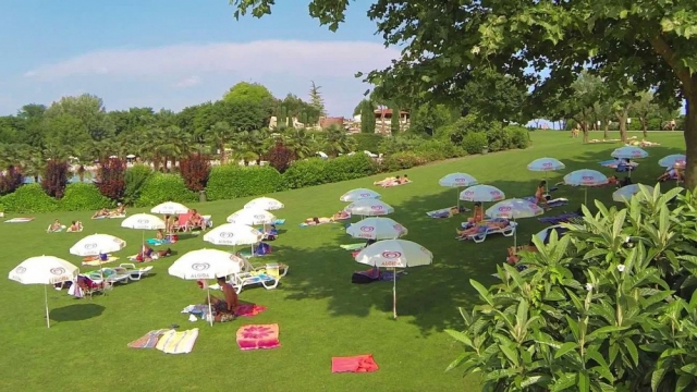  The greenery of the park 