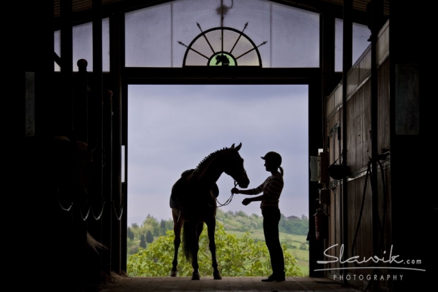 Passione ed amore per i cavalli