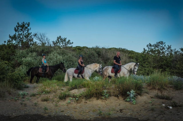 a cavallo in gruppo