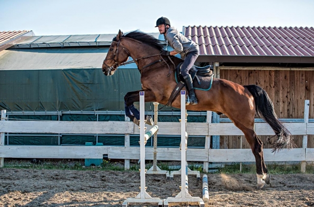 a lezione di equitazione