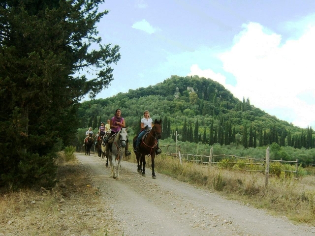  in Castel di Pietra 