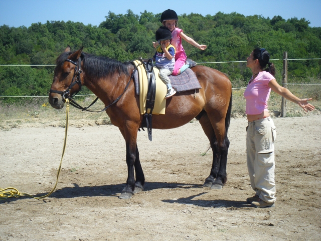  fun activities 