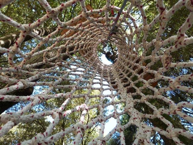  get lost in our paths 