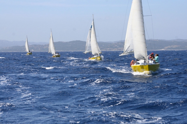 La Scuola della Vela