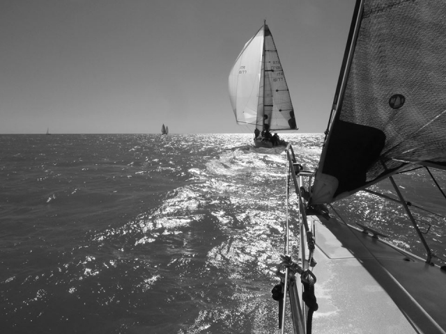 Scainetti Sail